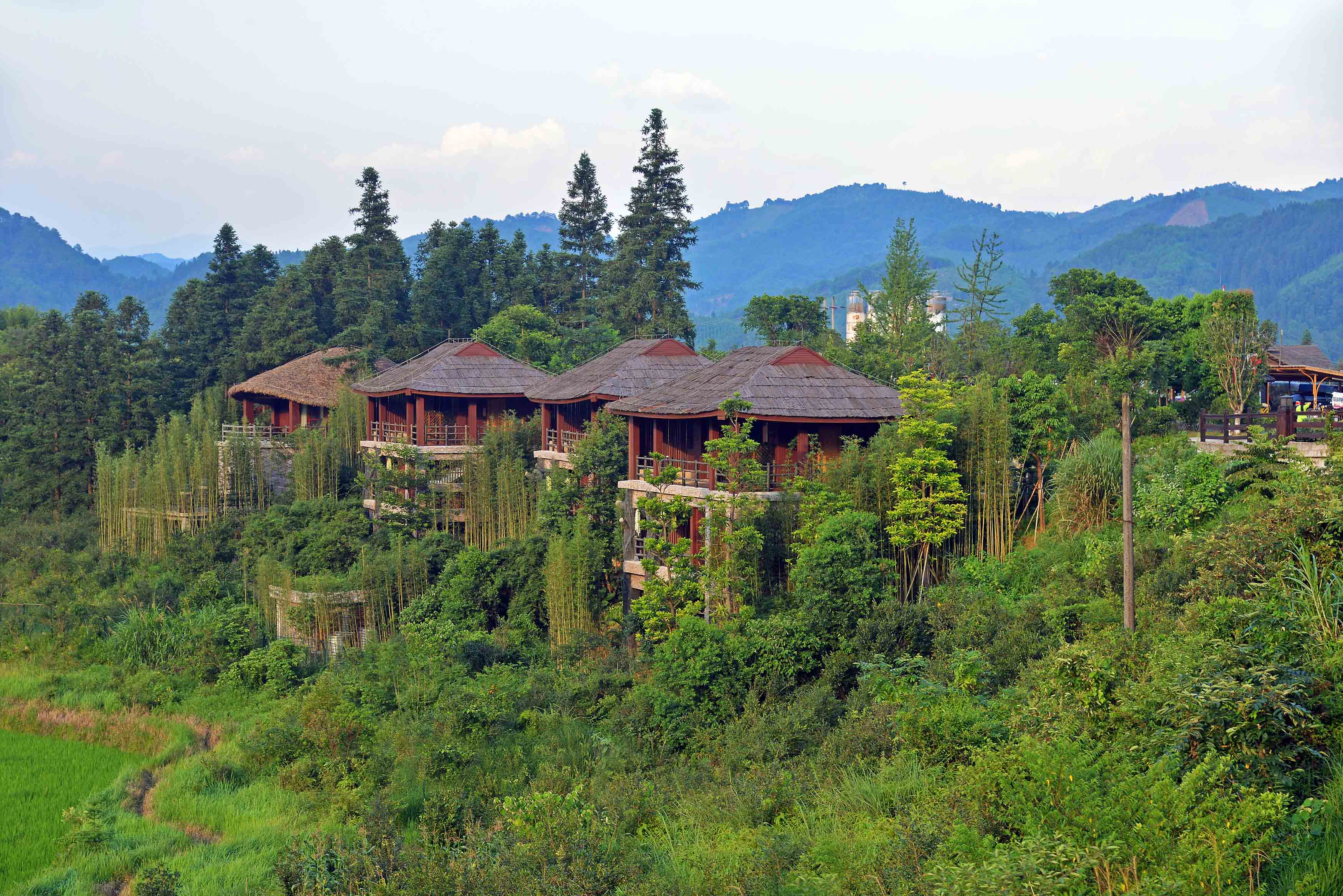 四川康養(yǎng)旅游走在全國前列，是怎么做的？.jpg